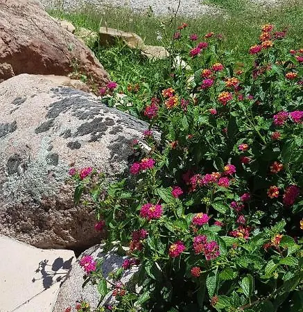 B&B Cyrnea - Adults Only *