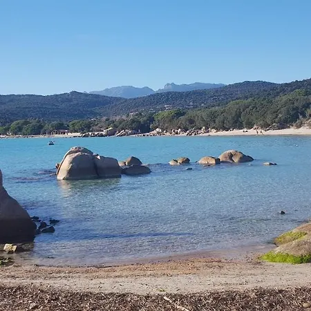 Cyrnea - Adults Only