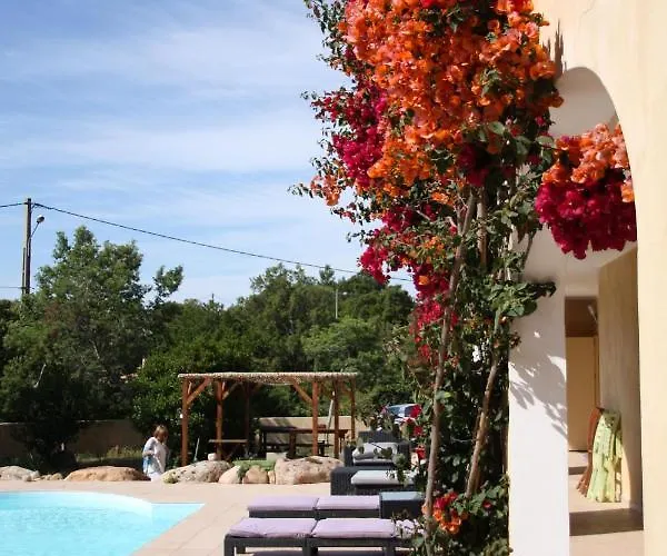 Cyrnea - Adults Only 维琪奥港