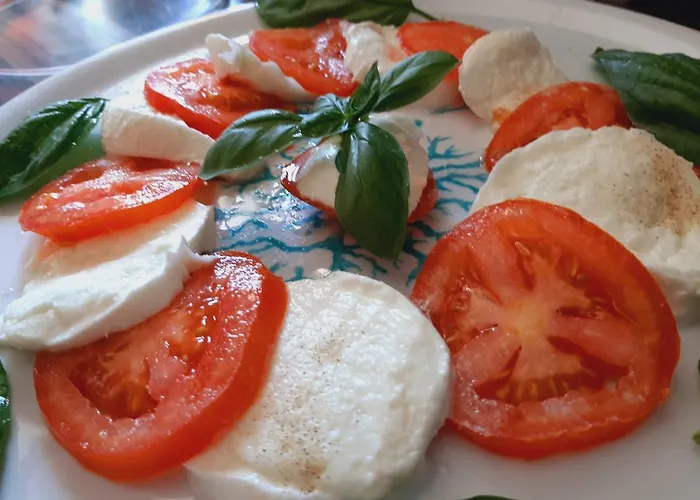 Cyrnea - Adults Only 维琪奥港