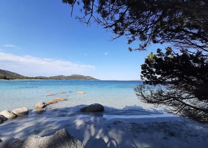 Cyrnea - Adults Only 住宿加早餐酒店 维琪奥港