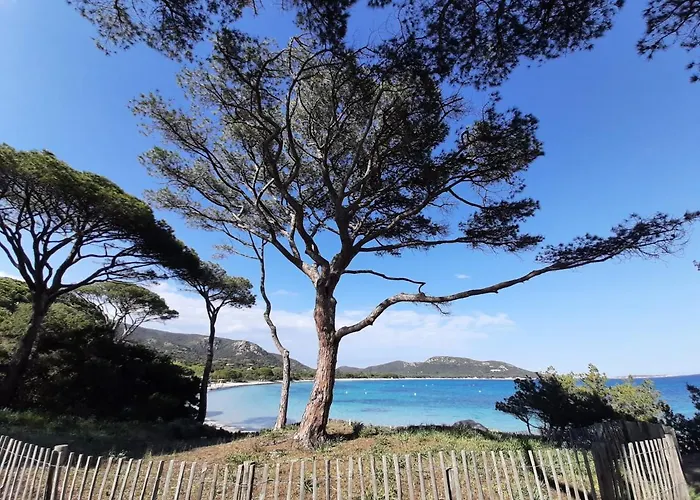 Cyrnea - Adults Only Porto-Vecchio (Corsica)