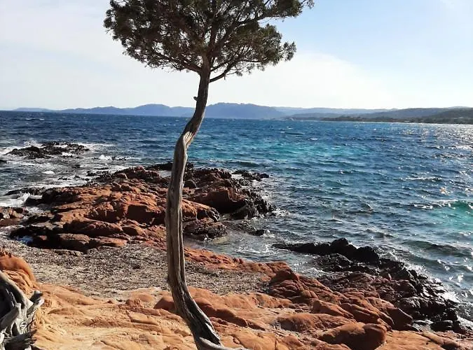 住宿加早餐酒店 Cyrnea - Adults Only