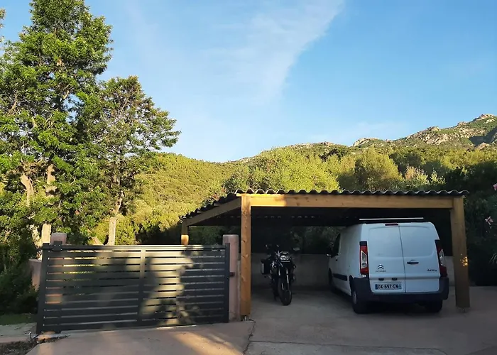 Cyrnea - Adults Only * 维琪奥港