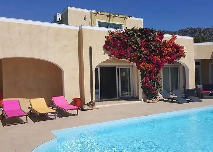 Cyrnea - Adults Only 维琪奥港