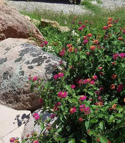 住宿加早餐酒店 Cyrnea - Adults Only *