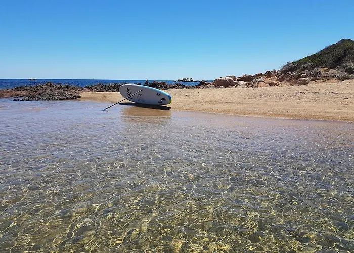 Cyrnea - Adults Only 维琪奥港