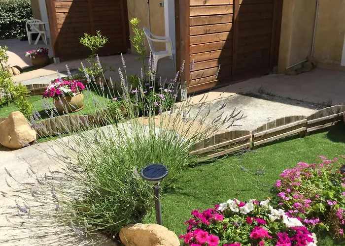 Cyrnea - Adults Only *