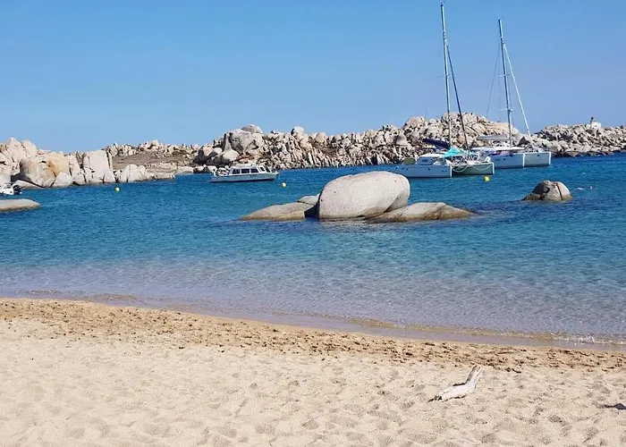 Cyrnea - Adults Only *